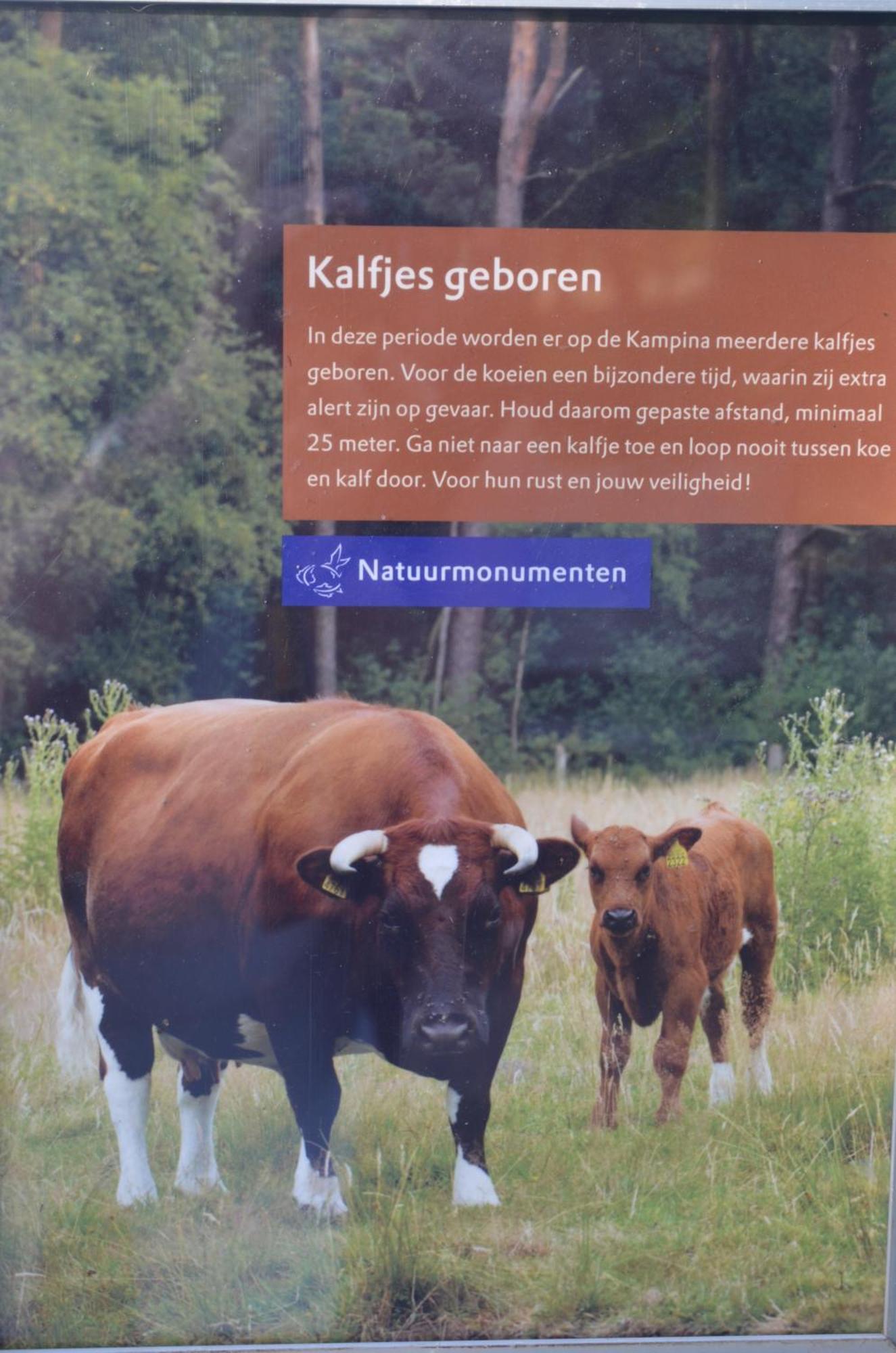 Erfgoed&Logies Den Heijkant Moergestel Zimmer foto